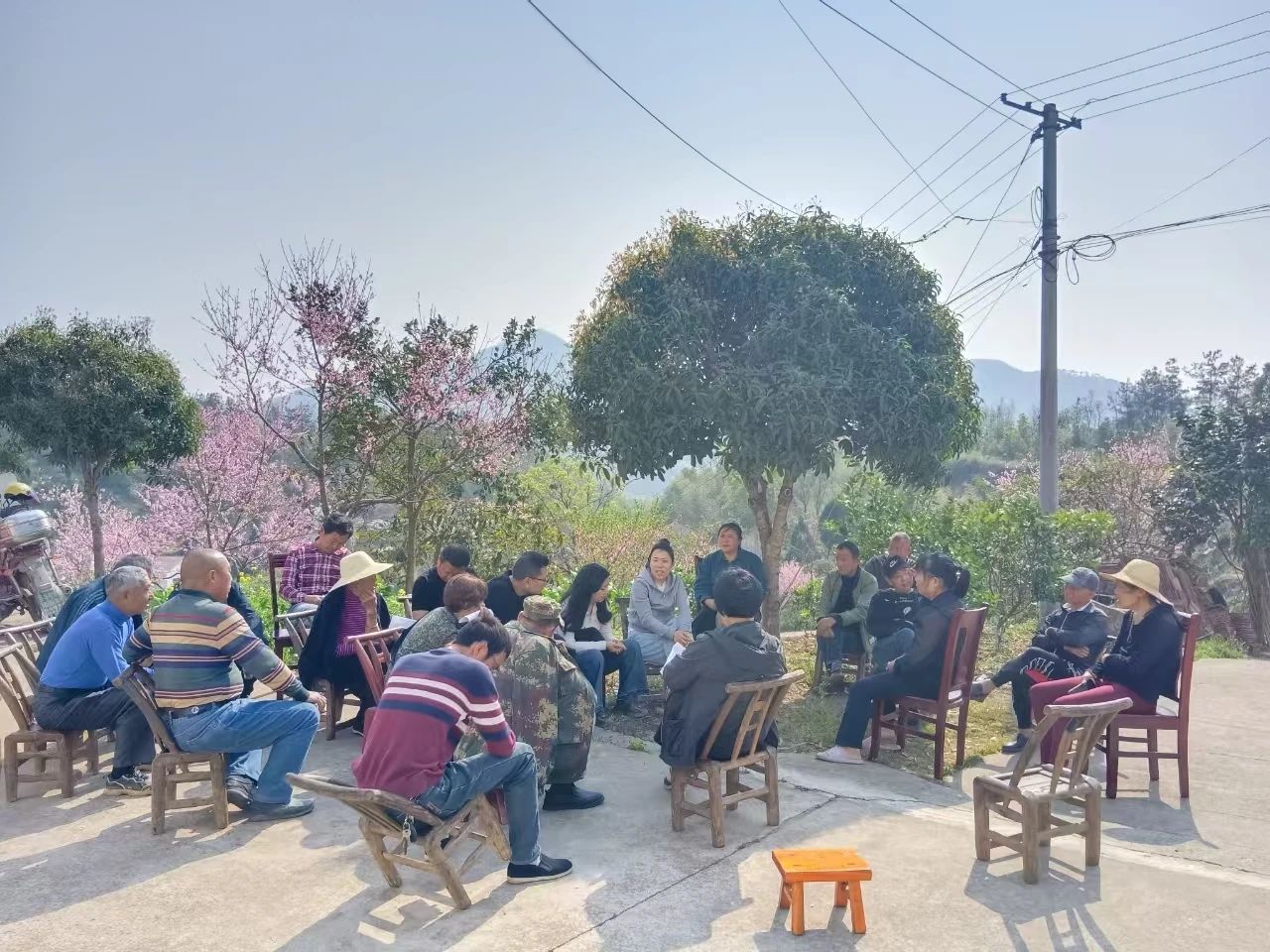 码头铺镇：屋场会上解民忧